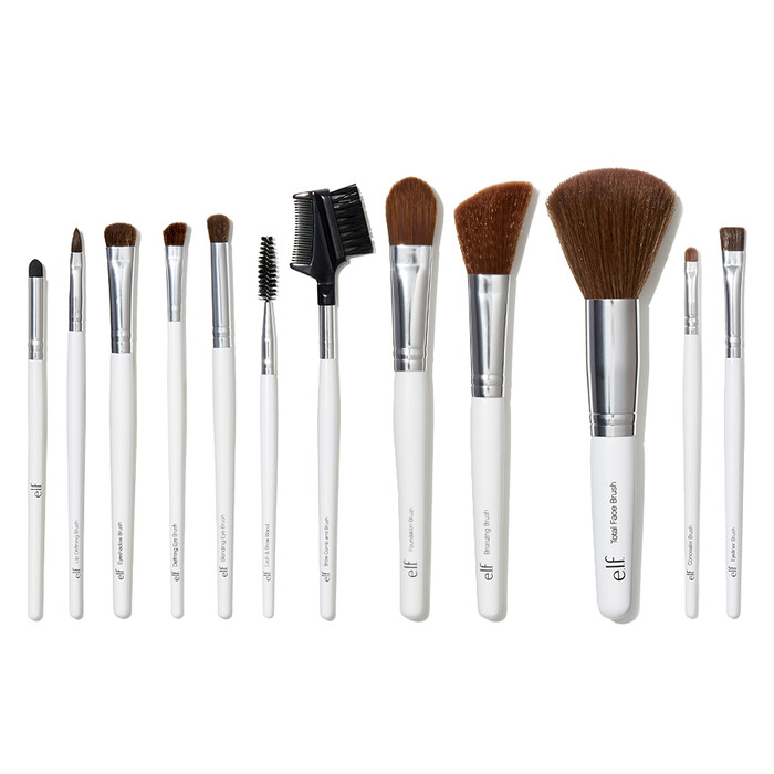 Professional Makeup Brush Set - 12 Brushes